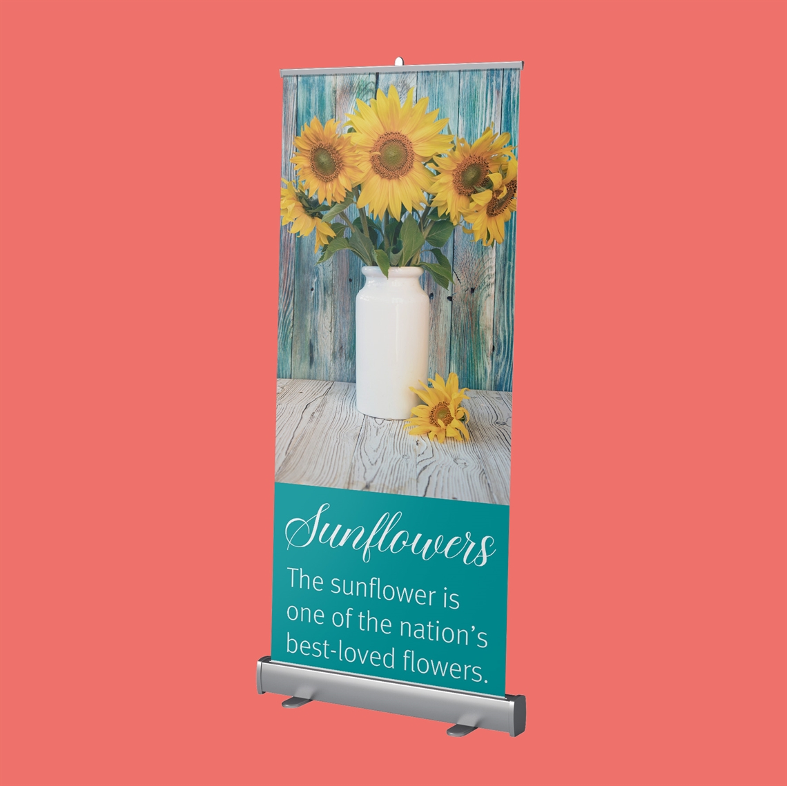 Picture of Roll-Up Banners